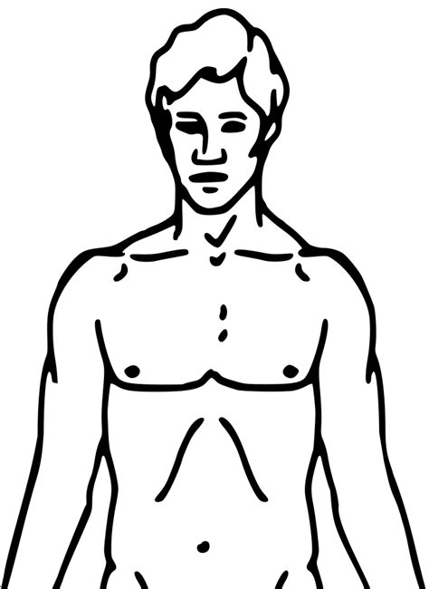 plain human body outline clipart