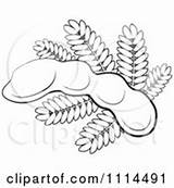Tamarind Outlined Leaves sketch template