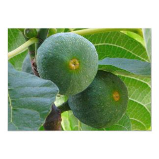fig gifts  zazzle