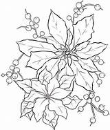 Poinsettia Seleccionar Coloringpagesfortoddlers sketch template