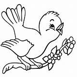 Bird Blue Coloring Pages Colouring Color Printable Getcolorings Print Getdrawings sketch template
