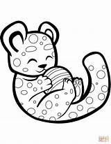 Cheetah Coloring Cute Pages Ball Playing Printable Drawing sketch template