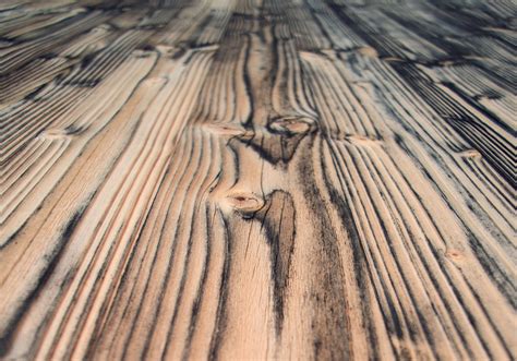 les differents types de pins dans la construction en bois loire eco bois