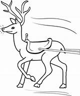 Coloring Reindeer Pages Printable Getdrawings sketch template
