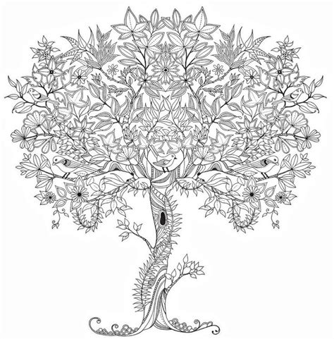 adult coloring pages tree jpg  pixels tree coloring page