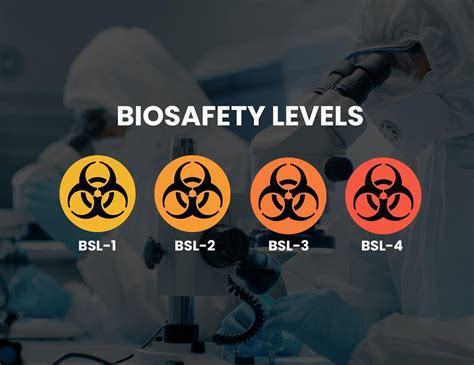 biological safety levels bsls ach engineering