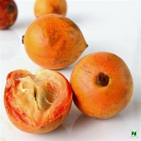 5 health benefits of taking agbalumo cherry fruit naijapickup