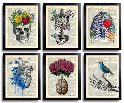 anatomy art print set  medical wall art anatomical poster etsy
