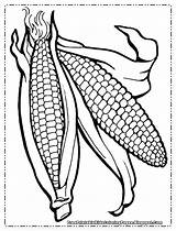 Corn Coloring Indian Printable Getcolorings Color Pages sketch template