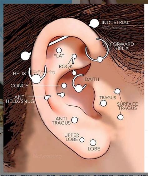 Placement Of Ear Piercings