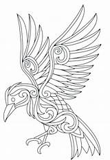 Raven Coloring Pages Outline Ravens Drawing Bird Color Getdrawings Printable Print Getcolorings sketch template