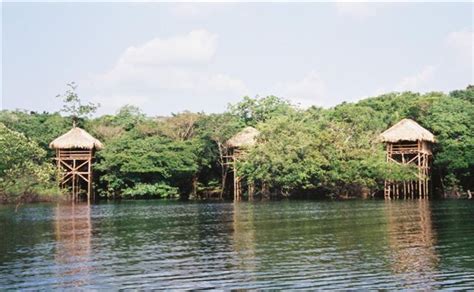 juma lodge amazon rainforest brasil bungalows amazonas