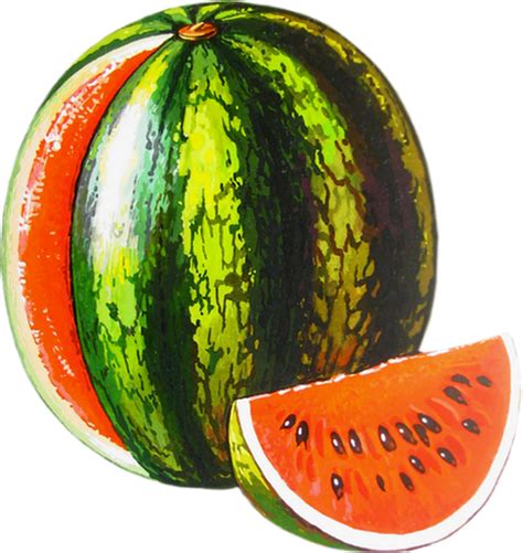 pasteque png tube wassermelone watermelon png