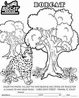 Coloring Bobcat Pages Color Lynx Print Getcolorings sketch template