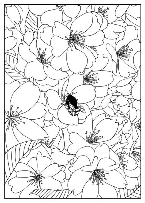 flowers coloring pages  adults printable