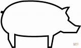 Schwein Umriss Contorno Puerco Porco Ausmalbild Schweine Piggy Supercoloring sketch template