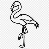 Flamingos Beak Flamenco Mewarnai Silueta Pinclipart Pico Ultracoloringpages Monocromo Favpng sketch template