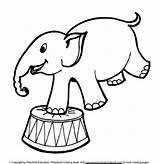 Coloring Circus Pages Elephant Template Printable Templates Color Animal Clipart Pic Shape Drum Playing sketch template