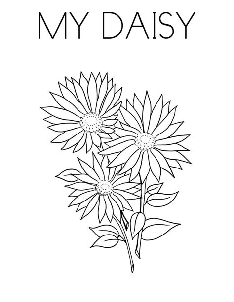 daisy coloring pages  coloring pages  kids coloring pages