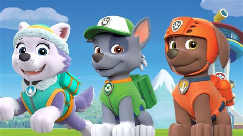 Paw Patrol Nickelodeon Paw Patrol Everest Rocky And Zuma