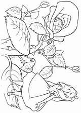 Wonderland Alice Coloring Pages Flowers Printable Flower Color Amazing Getcolorings Getdrawings sketch template