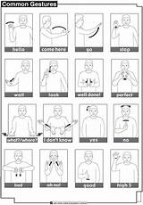 Sign Language Makaton Gestures Common Signs Classroom Nz American Gesture Sheet School Book Nzsl Teachers Activities sketch template