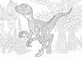 Dinozaury Kolorowanki Velociraptor Dinozaur sketch template