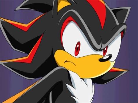 4 explosion the only memory shadow the hedgehog x reader