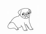 Pug Coloring Pages Puppy Printable Cute Baby Drawing Outline Print Pugs Dog Kids Draw Drawings Line Color Animals Puppies Getcolorings sketch template