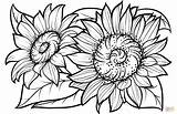 Coloring Sunflowers Pages Sunflower Printable Flower Supercoloring Adults Sheets Flowers Adult Kids Drawing Book Beautiful Books Pattern sketch template