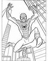 Spiderman Pages Coloring Kids Getcolorings Color sketch template