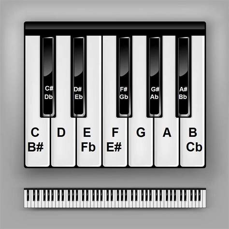 printable piano keys chart printable blank world