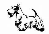 Scottie Terrier sketch template