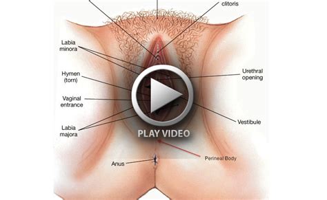 Male to female sex transformation