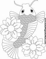 Coloring Fish Asian Koi Pages Printable Coloriage Chinese Pond Kids Poisson Number Asie Sheets Maternelle Dessin Ponds Japonais Color Colorpagesformom sketch template