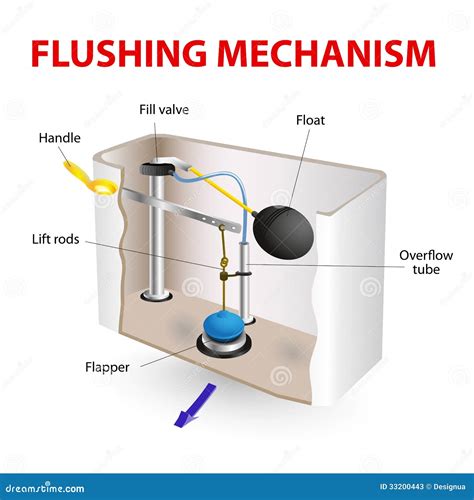 flushing mechanism flush toilet stock  image