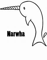 Narwhal Coloring Netart sketch template