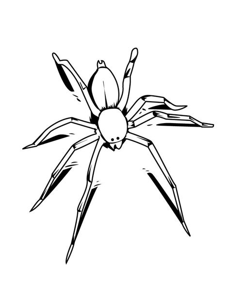 printable spider coloring pages  kids spider coloring page