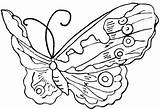 Mariposas Animados Chachipedia Lachachipedia sketch template