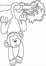 Monkey Monyet Coloring Mewarnai Tulamama sketch template