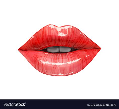 Beautiful Sexy Lips Royalty Free Vector Image Vectorstock