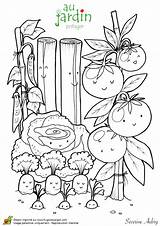 Potager Jardinage Hugolescargot Fruits Moestuin Legumes Coloriages Tomate Kleurplaten Printemps Uitprinten Imprimer Maternelle Enfant Depuis Magique Danieguto Vegetable Visiter Jardins sketch template