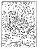 Coloring Jaguar Pages Animal Kids Mammals Animals Printable Sheets Zoo Book Kelp Jungle Print Forest Color Cats Crafts Four Printables sketch template