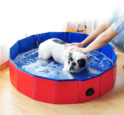 opvouwbaar hondenzwembad honden en kinderen hondenbad opvouwbaar