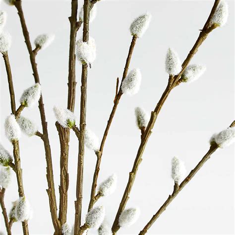 artificial pussy willow spray reviews crate and barrel canada