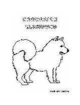 Dogs Coloring Pages sketch template