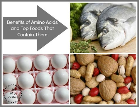 benefits of amino acids and top foods that contain them