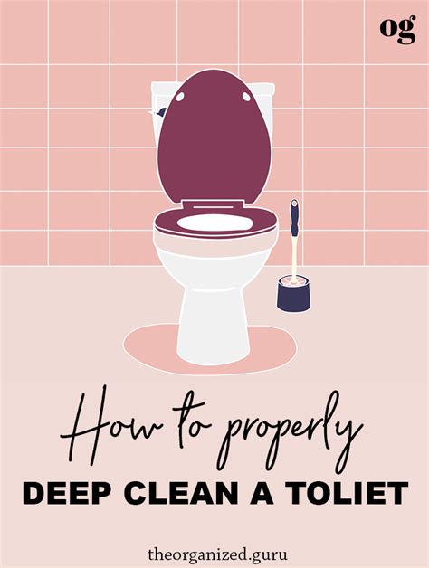 properly clean  toilet cleaning cleaning toilet cleaning