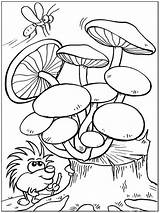 Coloring Mushrooms Pages Nature Printable Print sketch template