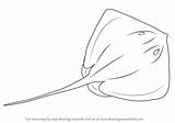 Stingray Draw Drawing Sketch Step Drawings Fish Line Tattoo Sea Easy Creatures Coloring Ray Animals Fishes Learn Sketches Drawingtutorials101 Big sketch template